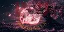 152.webp